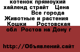 котенок прямоухий  хайленд страйт › Цена ­ 10 000 - Все города Животные и растения » Кошки   . Ростовская обл.,Ростов-на-Дону г.